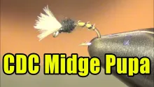 Video thumb for CDC Midge Pupa