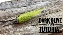 Video thumb for Dark Olive Goby