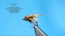 Video thumb for Struggling Caddis Pupa