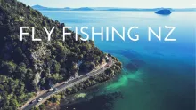 Video thumb for Fly Fishing New Zealand Trout with subscribers