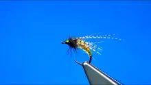 Video thumb for Super Stretch Caddis Pupa