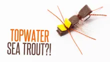 Video thumb for Topwater Sea Trout Fly