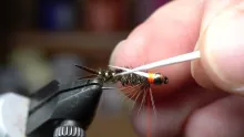 Video thumb for Prince Nymph