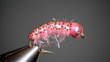Video thumb for Scudmarine Steelhead Nymph Pattern