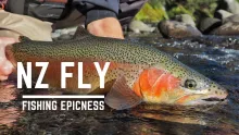 Video thumb for New Zealand Back country Fly Fishing.