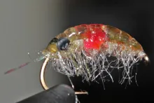 User submitted picture: HMG Scud