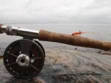 User submitted picture: The Fly