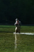 User submitted picture: Mayfly hatch, tying on th...