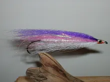 User submitted picture: Simply Synthetic