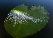 User submitted picture: Pike streamer taking some...