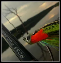 User submitted picture: pike fly