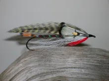 User submitted picture: Brook Trout # 2