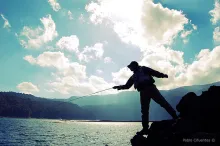 User submitted picture: Between shadows and light...