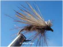 User submitted picture: CDC & Elk - even though i...