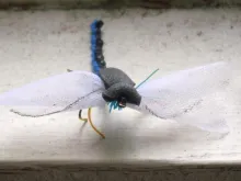 User submitted picture: Foreground of my creation...