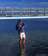 User submitted picture: Mullet fight