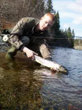 User submitted picture: Atlantic Salmon, spring.