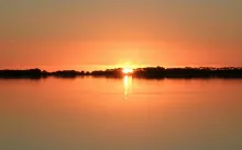 User submitted picture: Time for the big brown tr...