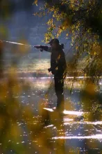 User submitted picture: The joy of the perfect ca...