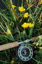 User submitted picture: Still winter, BUT soon.