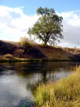 User submitted picture: Hat Creek - Northern Cali...