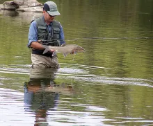 User submitted picture: Barbel of the River Guadi...