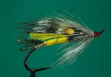 User submitted picture: Rusty Rat

By Ken Bonde