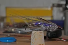User submitted picture: Purple King Spey
