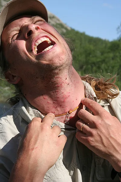 User submitted picture: SWEDISH SOMMER