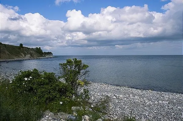 User submitted picture: Danish costline - can you...