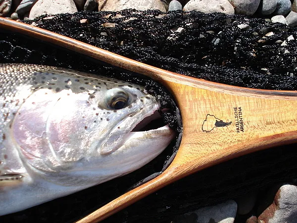 User submitted picture: Head II