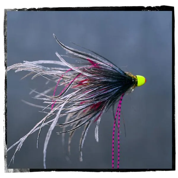 User submitted picture: Some tube for spring