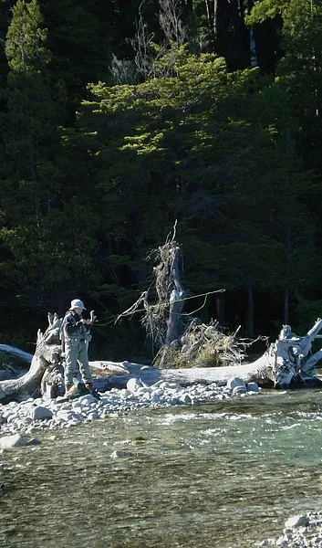 User submitted picture: Perhaps with another fly....