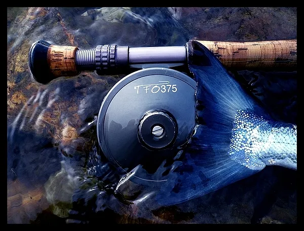 User submitted picture: Reel and salmon tail