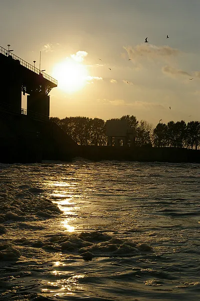 User submitted picture: Aspius Aspius fishing in ...