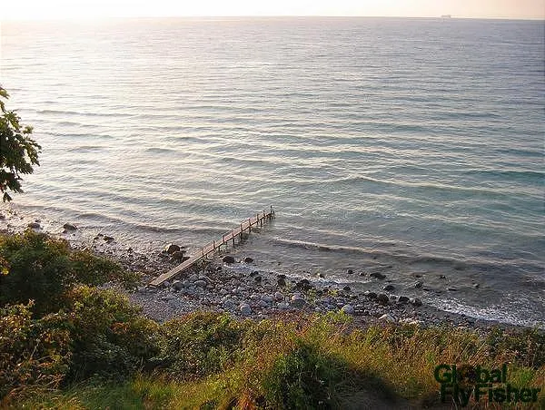 User submitted picture: A view