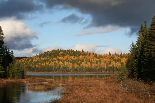 User submitted picture: I taken this autumnal lan...