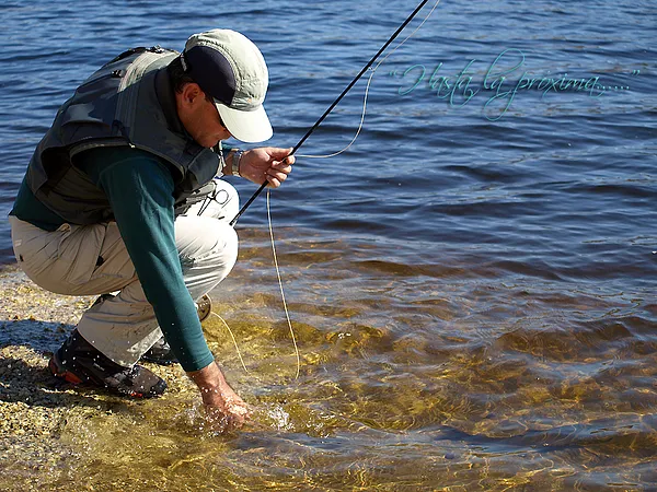 User submitted picture: Up to the near(next) time...