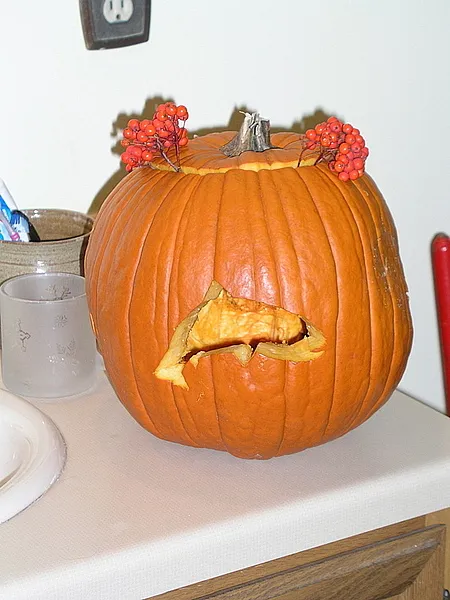 User submitted picture: Cucurbita mykiss haha... ...
