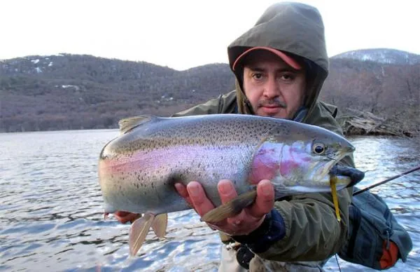 User submitted picture: One of the 10 most import...