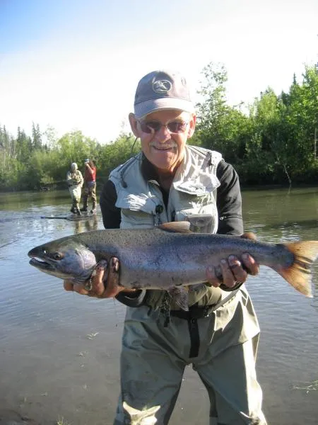 User submitted picture: Silver salmon in Alaska